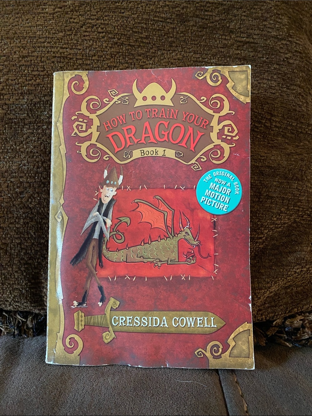 How to Train Your Dragon Kids Costume - Red with Gold Accents